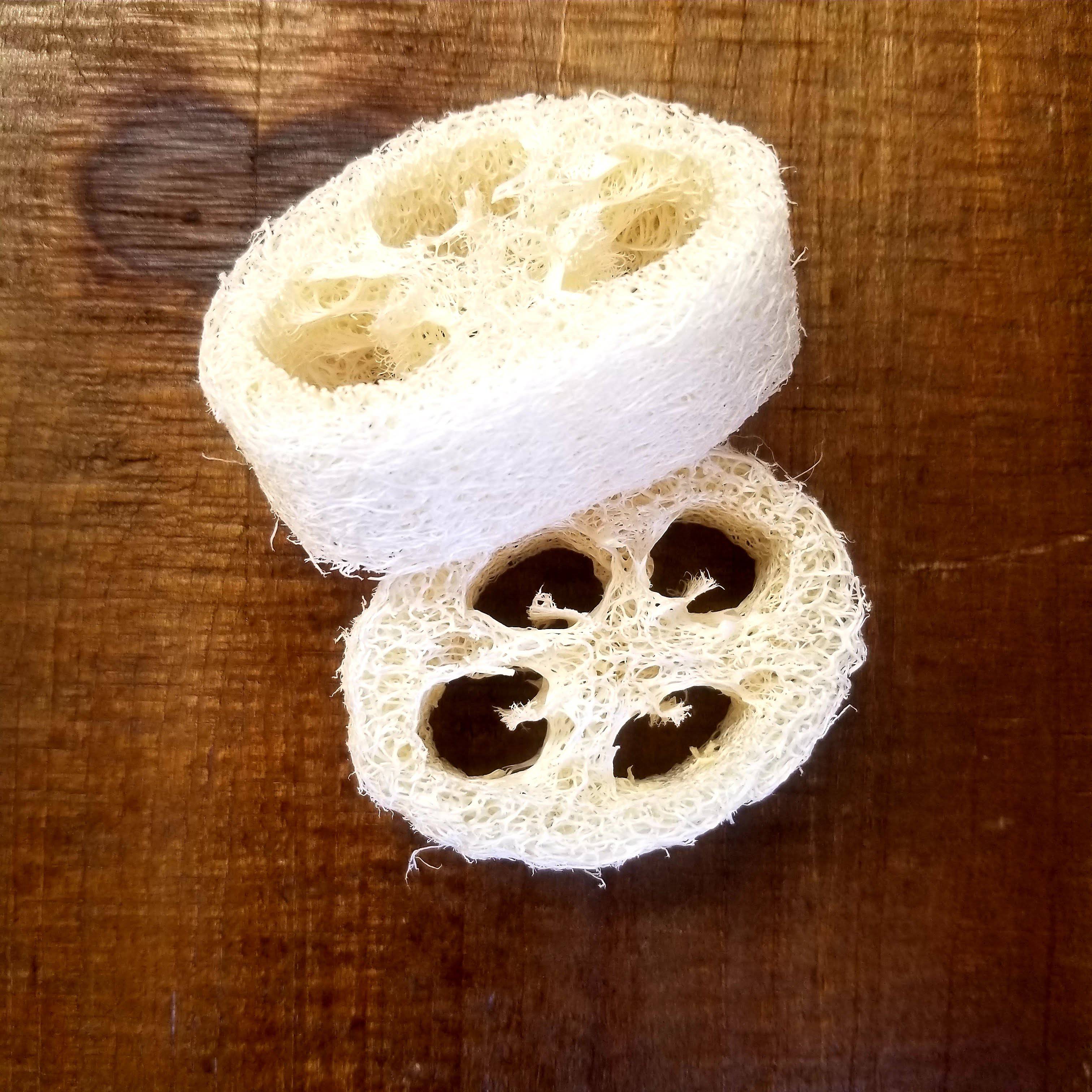 Natural 1" Loofah - The Mockingbird Apothecary & General Store