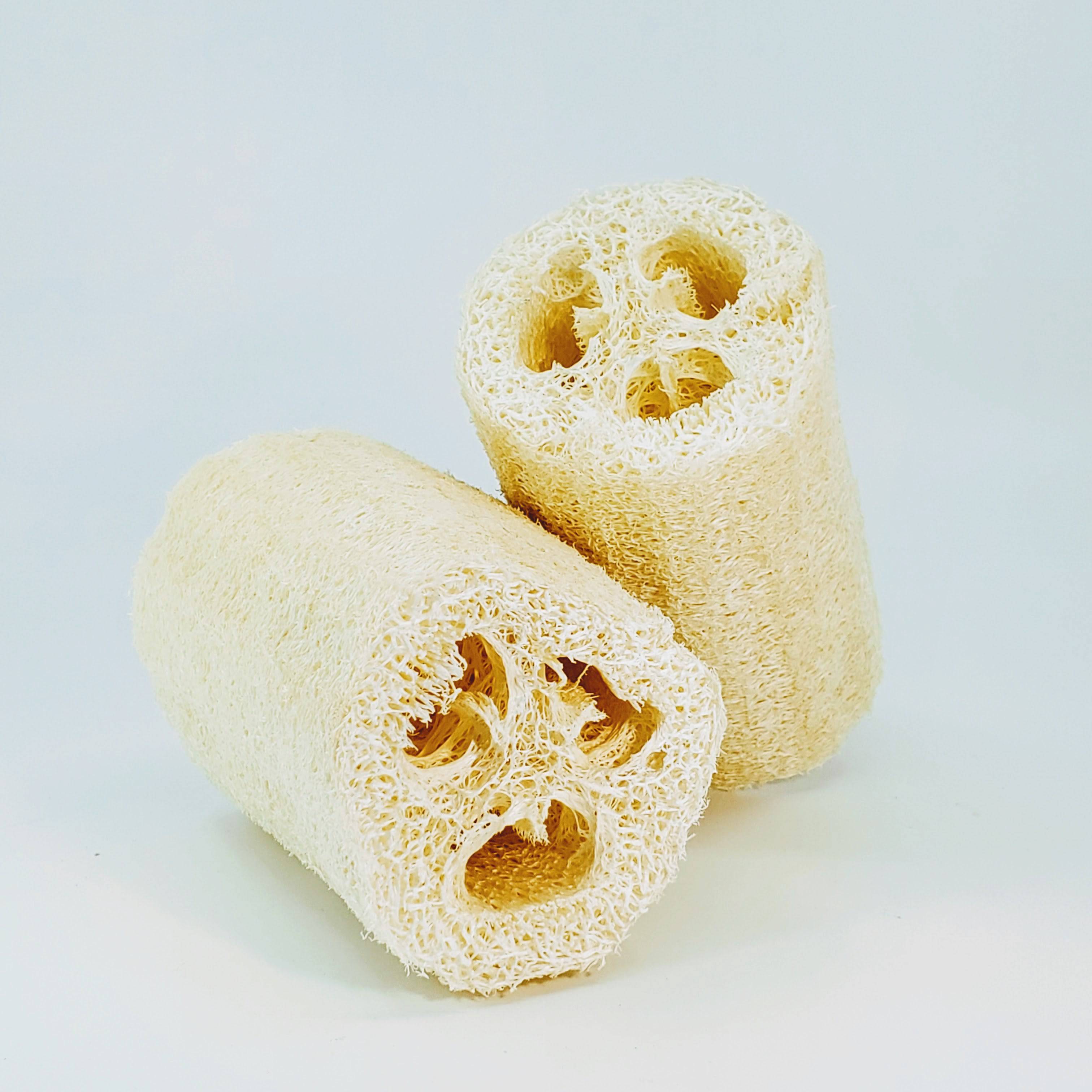 Natural Loofah - The Mockingbird Apothecary & General Store