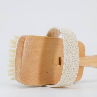 Wet & Dry Boar Bristle Long Handle Body Brush with Removable Brush - The Mockingbird Apothecary & General Store