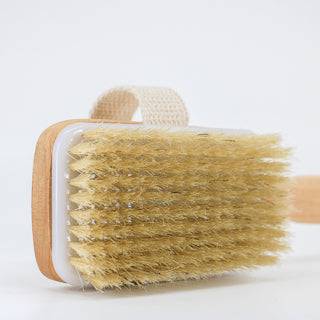 Shower Brush with Natural Bristle - Long Bamboo Handle Bath Body Brush for  Wet or Dry Brushing - Improves Blood Circulation, Exfoliating Skin