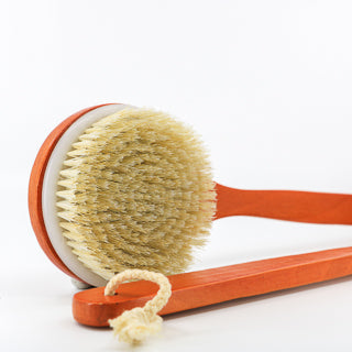 Cactus Plant Fiber Round Dry Brush - The Mockingbird Apothecary & General Store