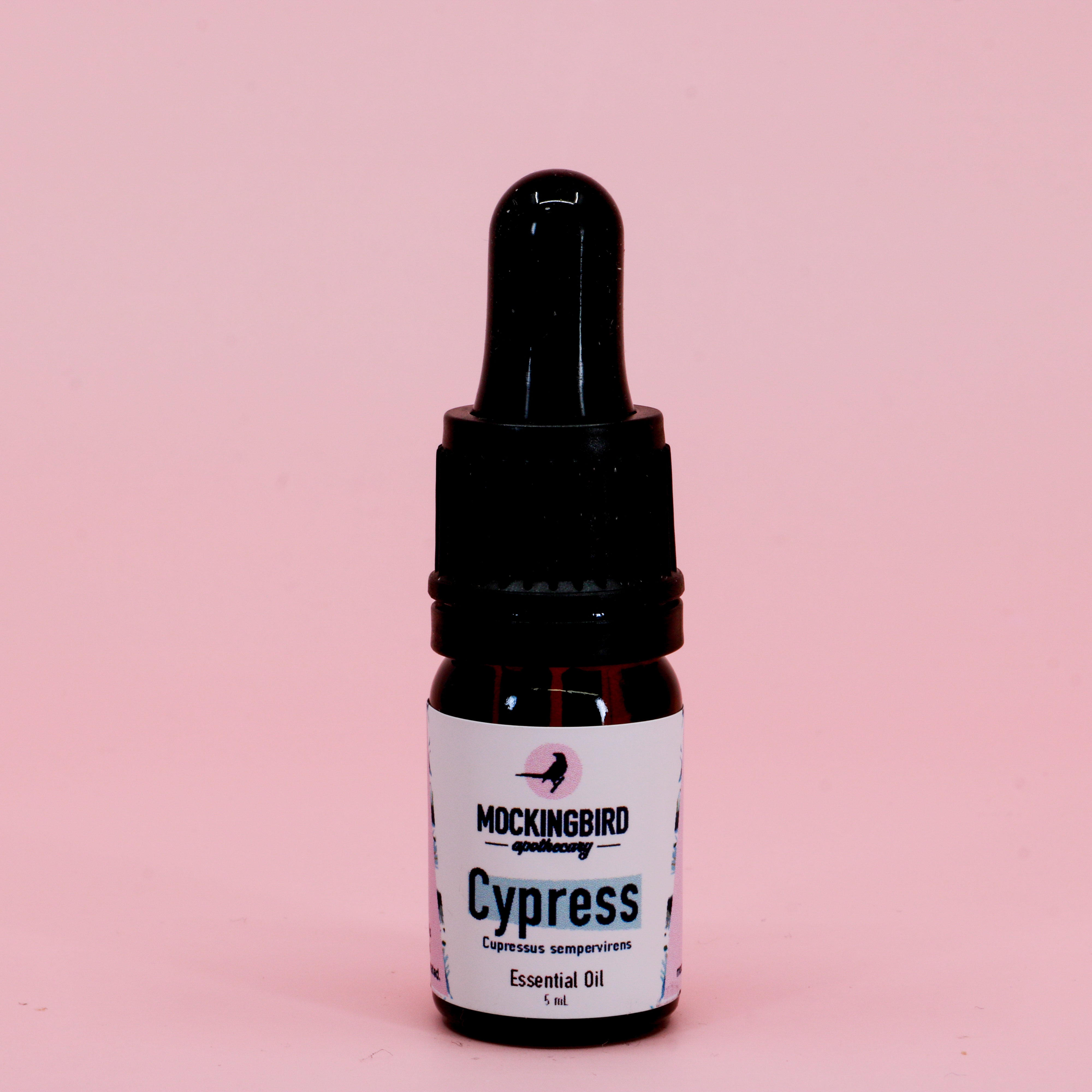 Cypress Essential Oil (Cupressus sempervirens) - The Mockingbird Apothecary & General Store