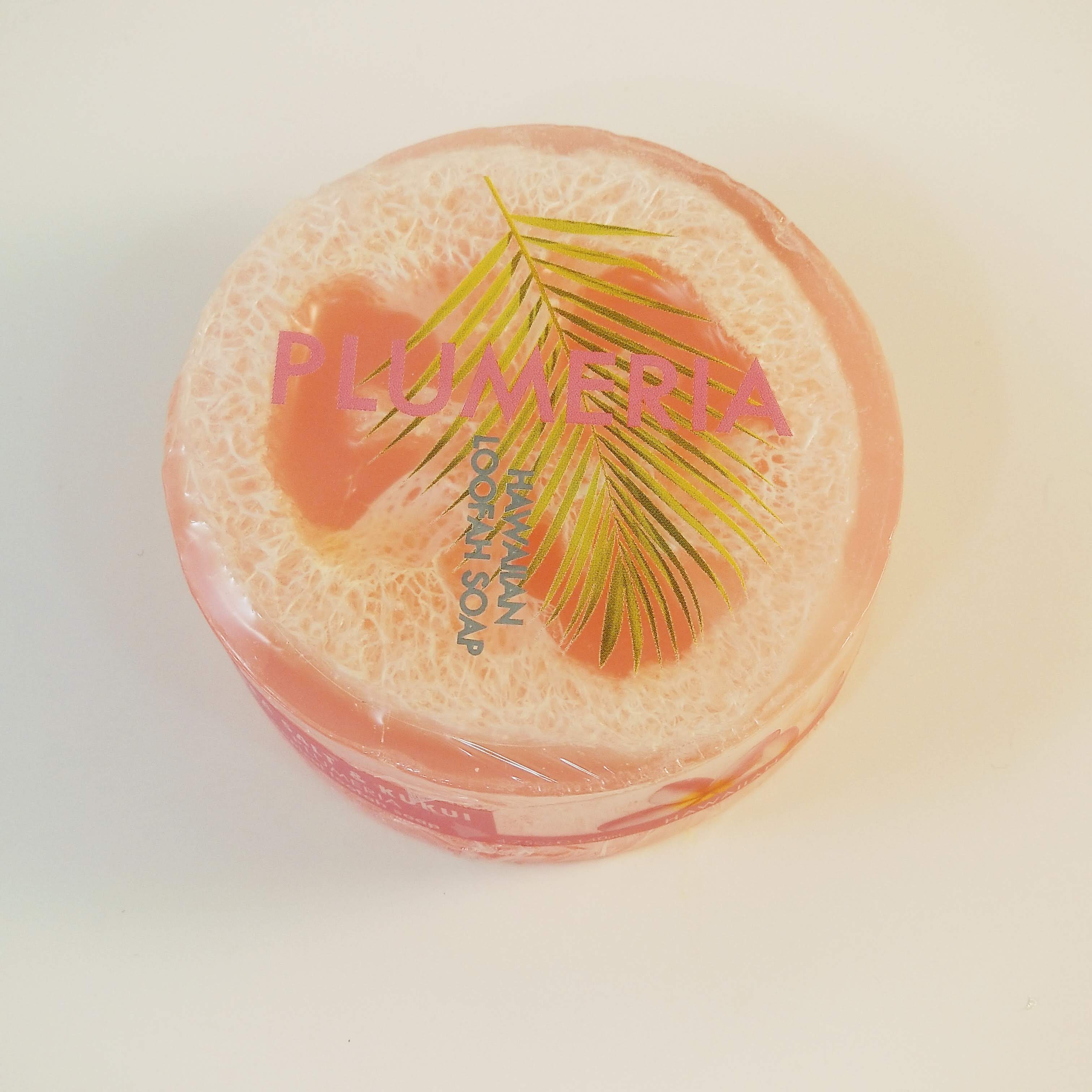 Loofah Soap Bar - The Mockingbird Apothecary & General Store