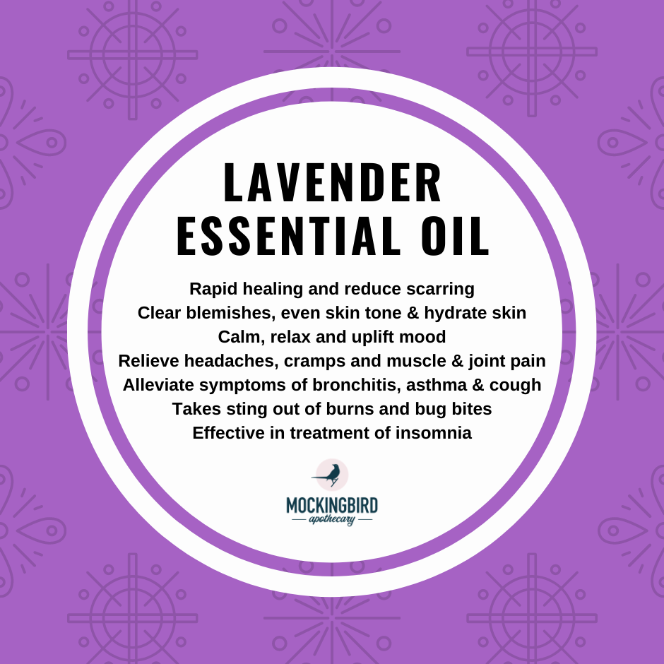 Lavender Essential Oil Uses & Benefits The Mockingbird Apothecary & General Store Lavender Essential Oil Uses & Benefits The Mockingbird Apothecary & General Store