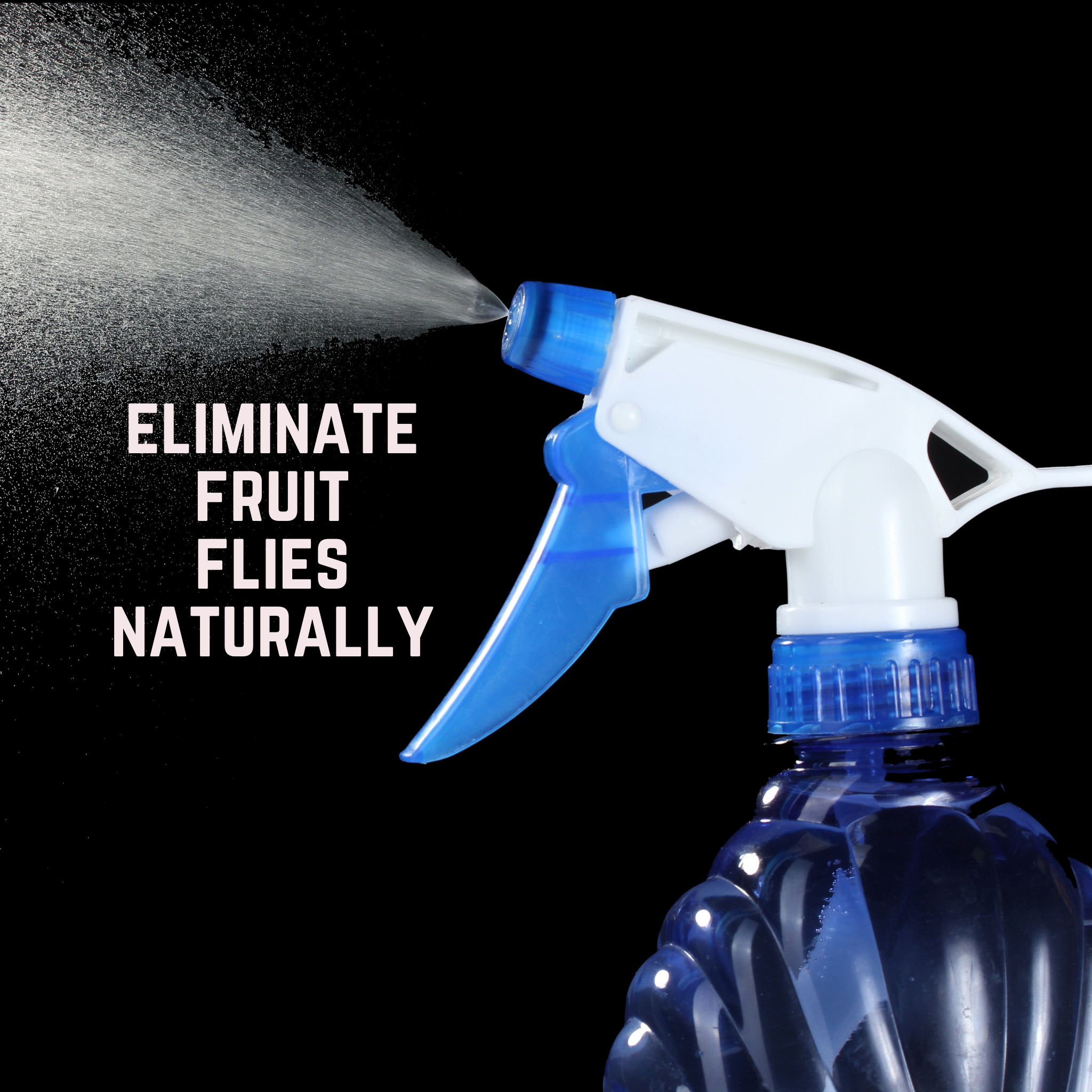 spray bottle with natural spray for eliminating fruit flies