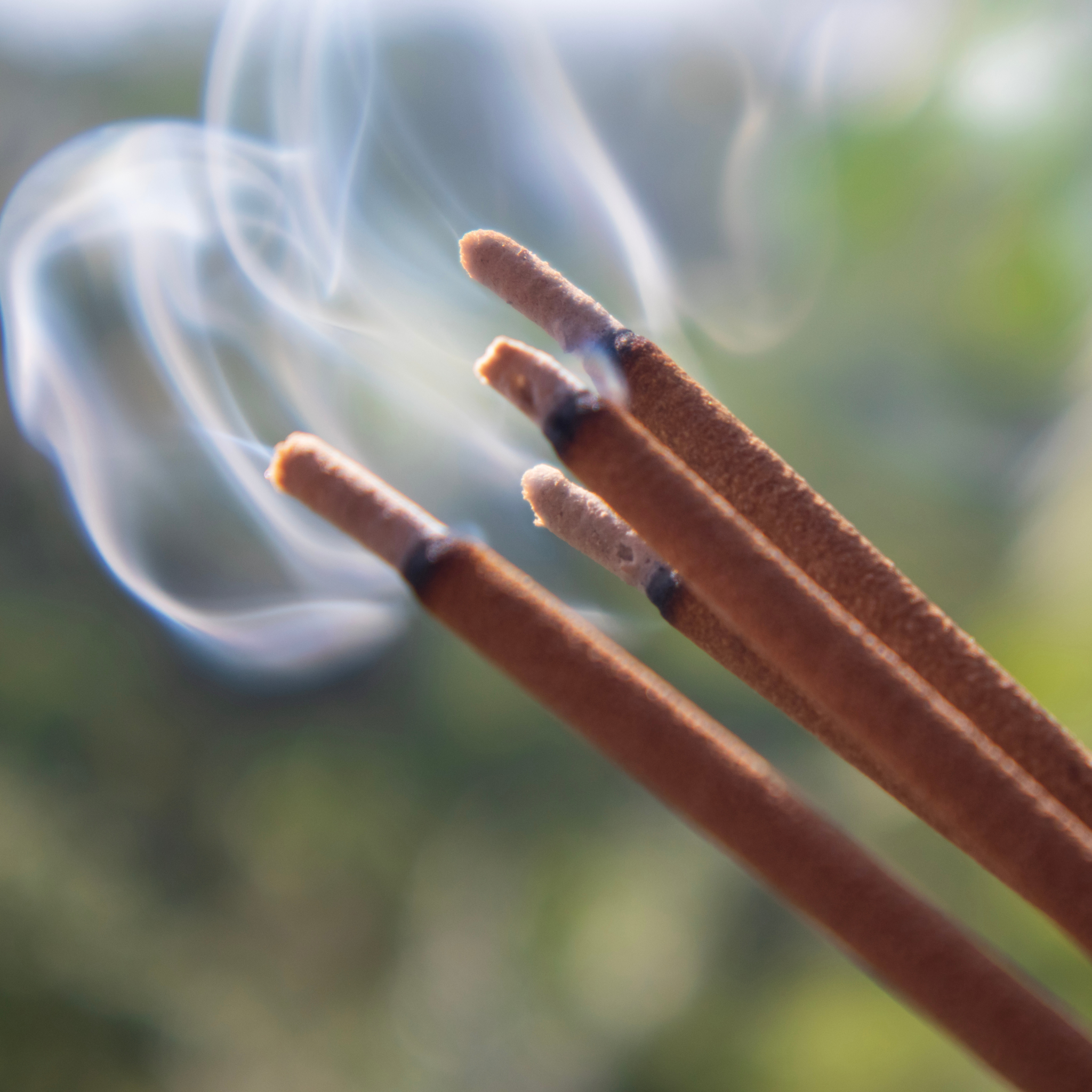 Incense sticks burning with rose petals scattered around — benefits of burning incense for meditation, relaxation, and home fragrance