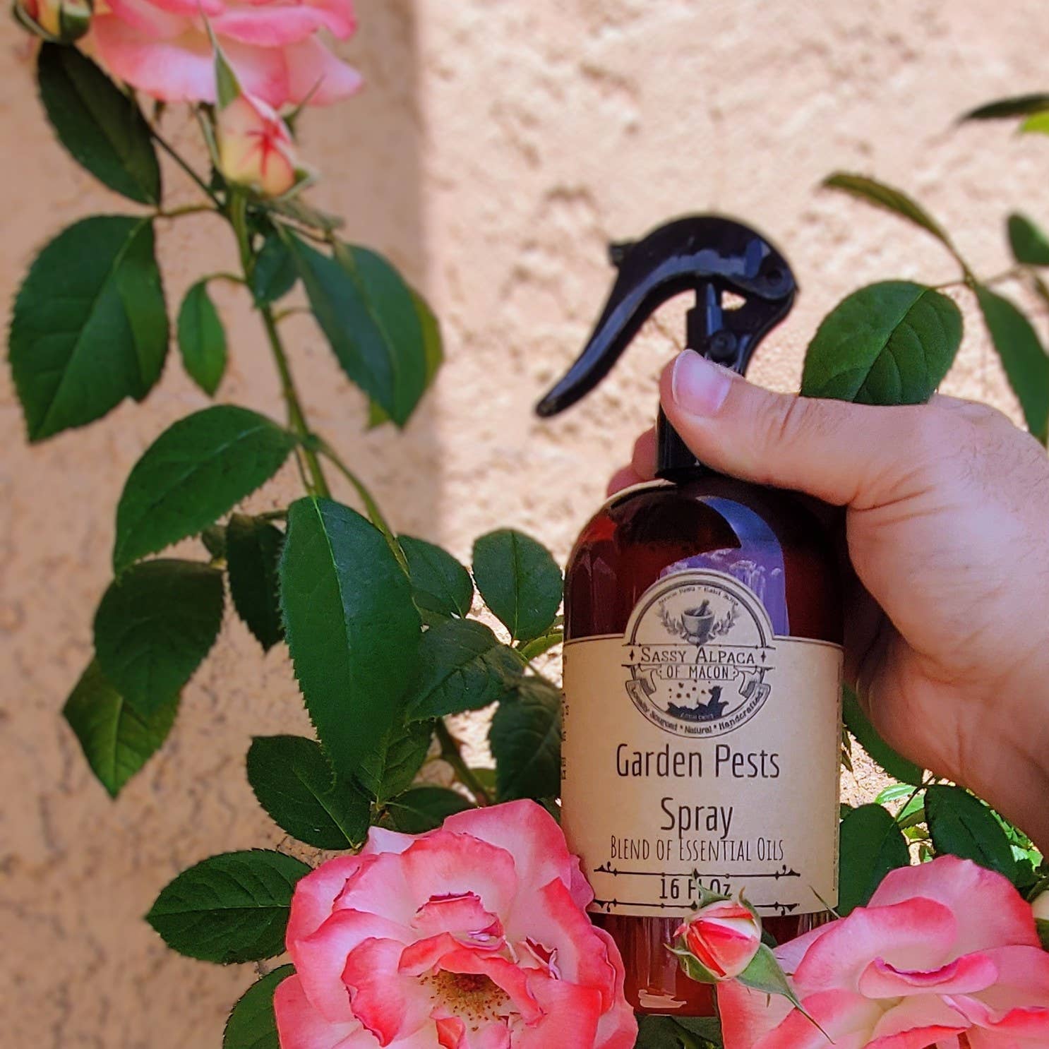 Hand holding a bottle of 'Garden Pests Spray' with flowers in the background