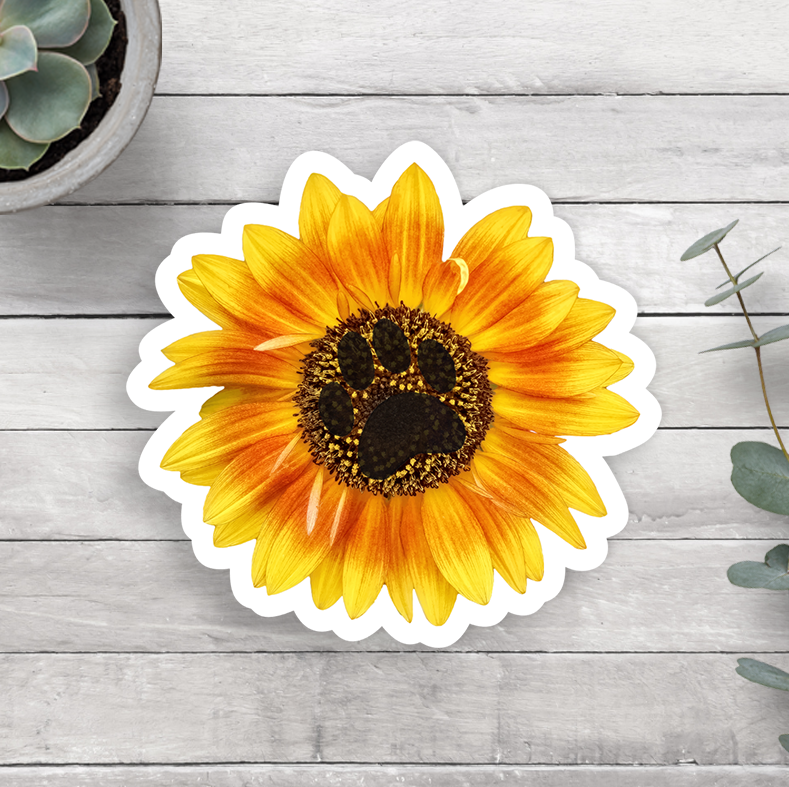 A vinyl sticker designed to resemble a sunflower with a paw print in the center, placed on a wooden surface.