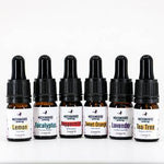 Essential Oil Starter Set - The Mockingbird Apothecary & General Store